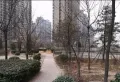 嘉禾一方小区图片3