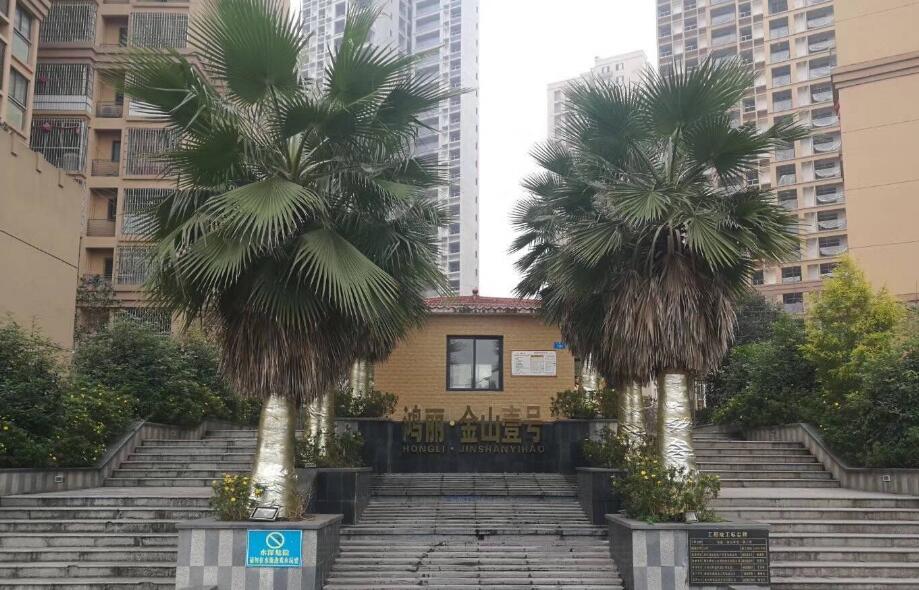 鸿丽金山壹号小区图片