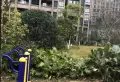 华福郡小区图片5