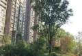高速东方天地小区图片6