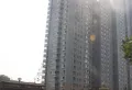 鸿基花苑小区图片5