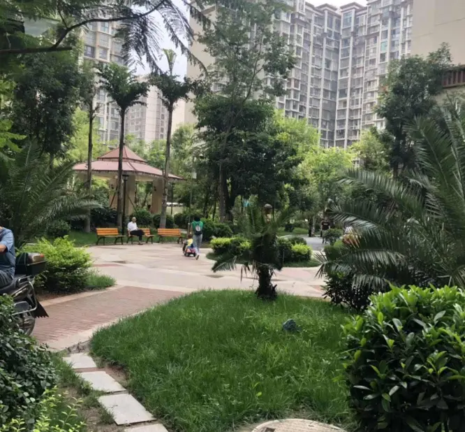 鹭洲威尼斯半岛A区小区图片1