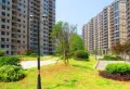 随州碧桂园小区图片5