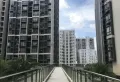 金科世家小区图片9