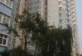 建秦苑小区小区图片10