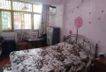 全身心漫步在一片阳光之中闲适氛围随意流露10
