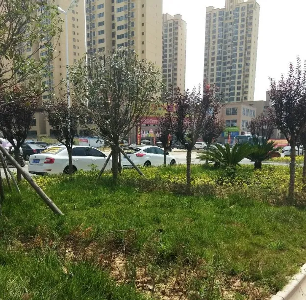 悦景湾小区图片8