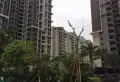 万科金域缇香小区图片9