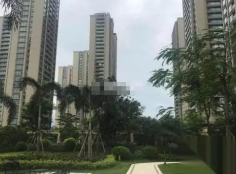 美吉丽鼎通国际-高新区唐家湾金峰中路193号