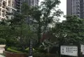 万科金域缇香小区图片11
