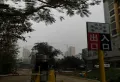 金湾花园小区图片5