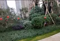 滨江花园小区图片4