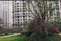 滨江花园小区图片3