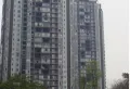 阳光绿苑小区图片3
