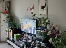 拜城县|金鑫花园3室2厅1卫出售