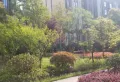 迅邦檀溪公馆小区图片6
