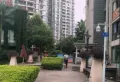 星月湾小区图片11