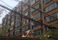 辽河住宅小区小区图片2