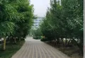 城建北京密码小区图片3