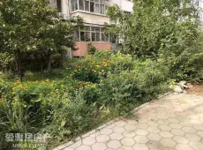 海州区|民安花园2室1厅1卫出售|买房租房佣金全返