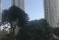 澜泊湾一期小区图片9