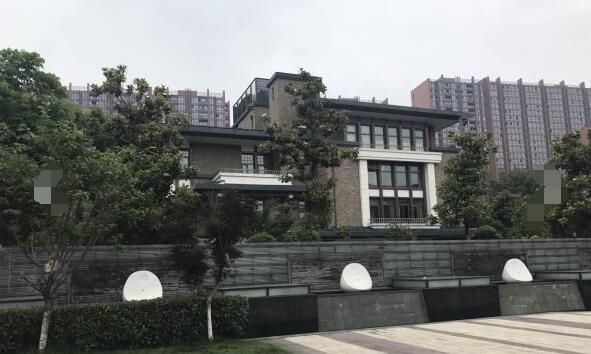 众安隐龙湾小区图片