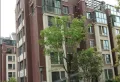 金水名都小区图片10