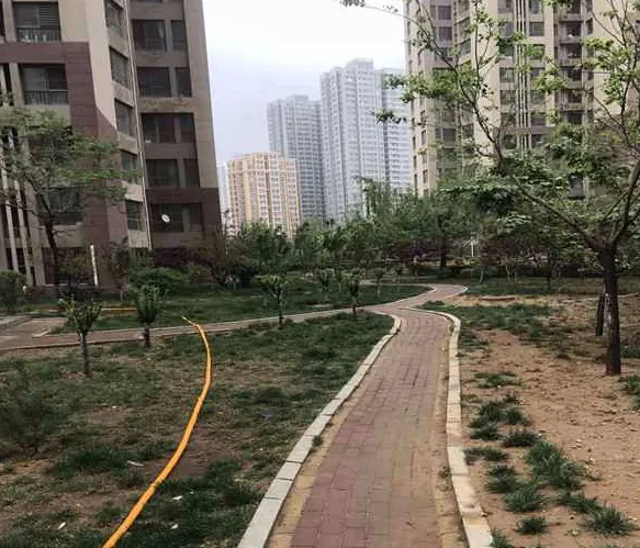 泰山公馆小区图片4