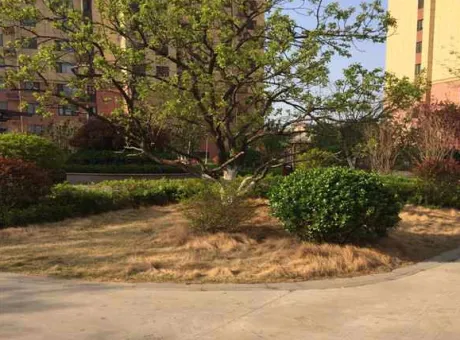 如意家园-泰山区火车站龙潭路与泰玻大街交叉口