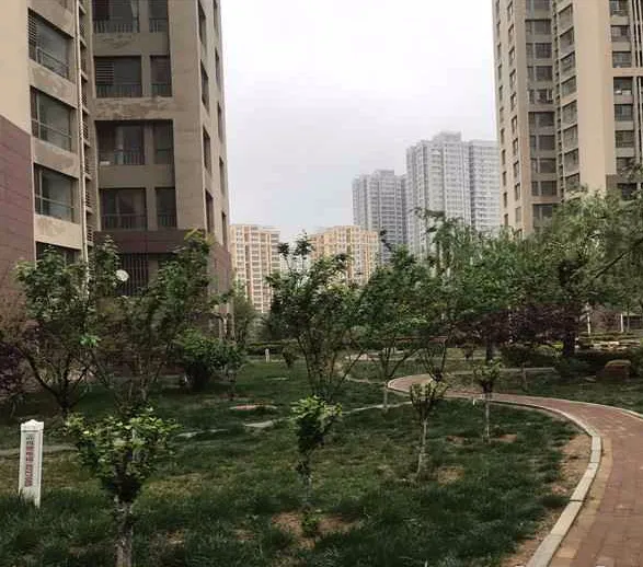 泰山公馆小区图片7