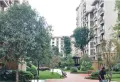 金科城59区小区图片5