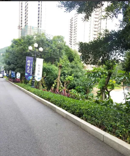 恒大城楼盘图片4