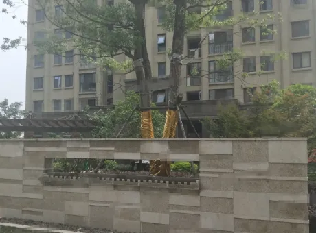 国信嘉源-丹阳市丹阳三思路与新民西路交叉口东南50米