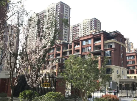 中央城学府壹号-弋江区大学城文昌西路与花津南路交叉口西北侧