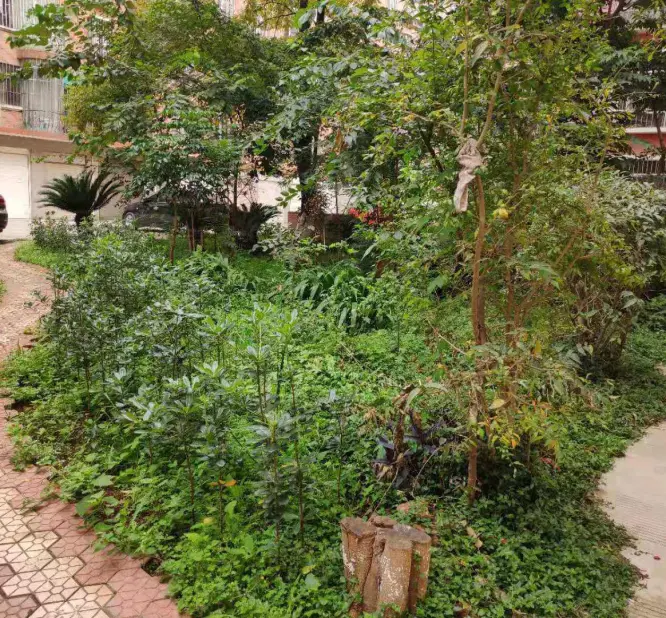 麟瑞小区小区图片2