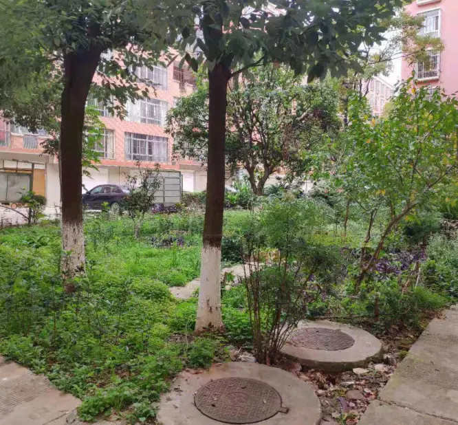 麟瑞小区小区图片6