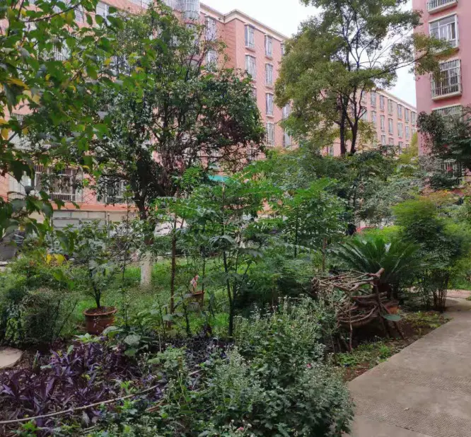 麟瑞小区小区图片4