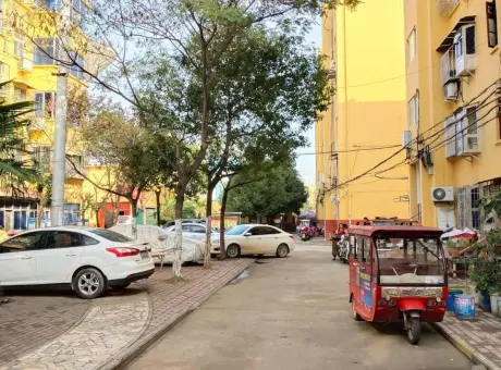 铁路西岗小区-卧龙区城西卧龙区百里奚街道办事处京达巷椿树井