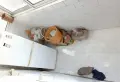 西山花园 三室一厅 普通装修 南北朝向 仅售22万7