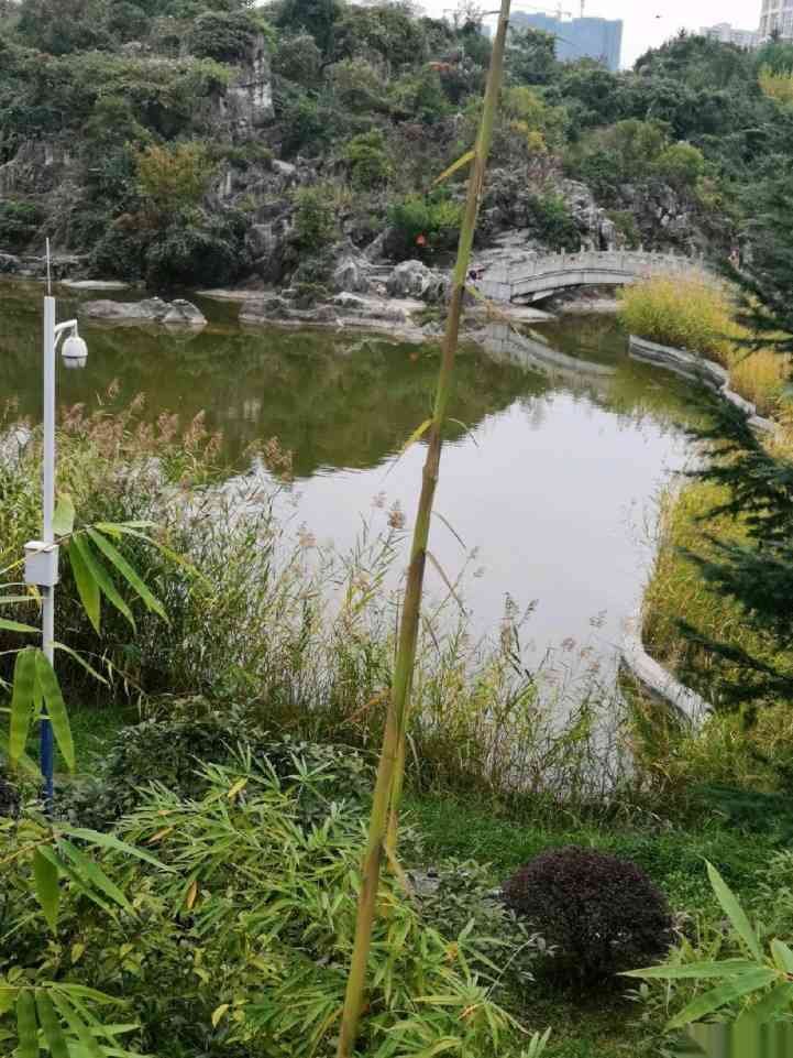 天都锦绣天地2室1厅1卫-天都锦绣天地二手房价