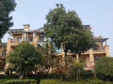 夷陵区|国宾壹号7室3厅4卫出售