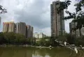 金穗花园五期小区图片1