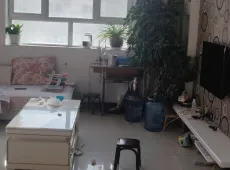 库车县|鑫淼小区2室2厅1卫出售