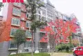 四季阳光城小区图片9