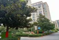 御璟东方小区图片3