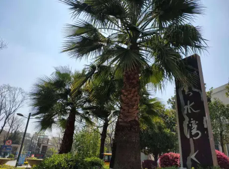 潇湘新区云水湾-麒麟区南片区弥陀寺附近