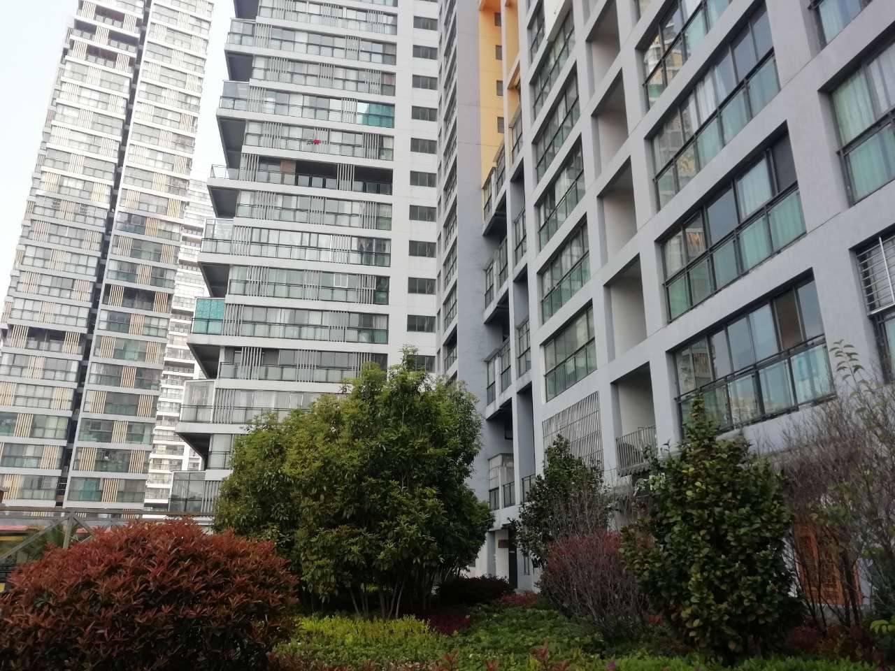 出租9