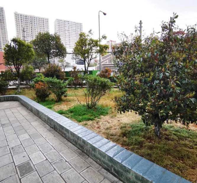 书苑彼岸小区图片5