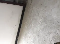 毕节市|兰苑花园3室2厅2卫出售