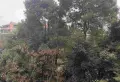 普通3室2厅2卫2阳台真漂亮2